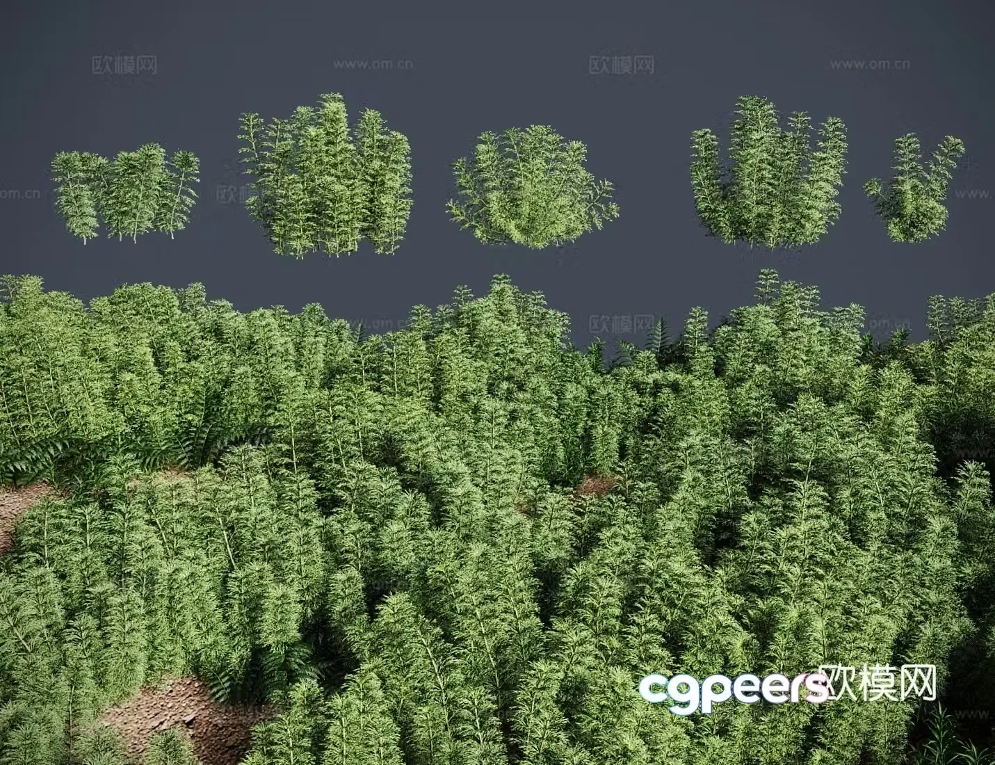 grass lawn big pagoda grass 3d model