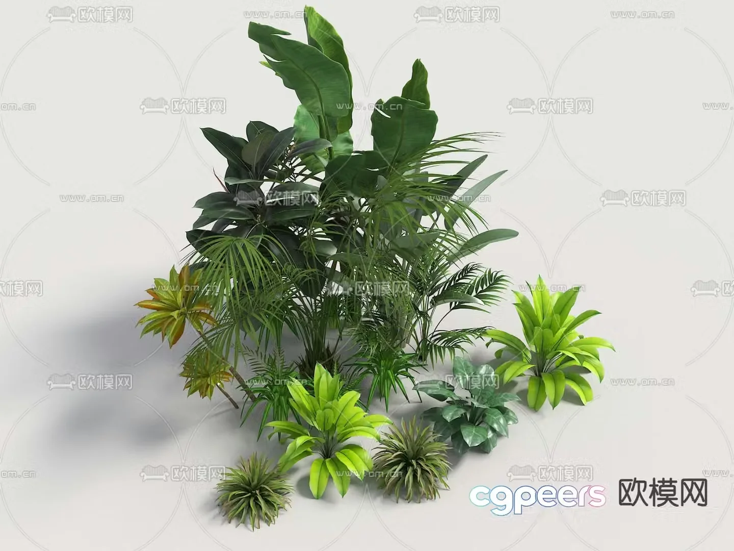 Landscape ground cover shrub tropical plants 3d model