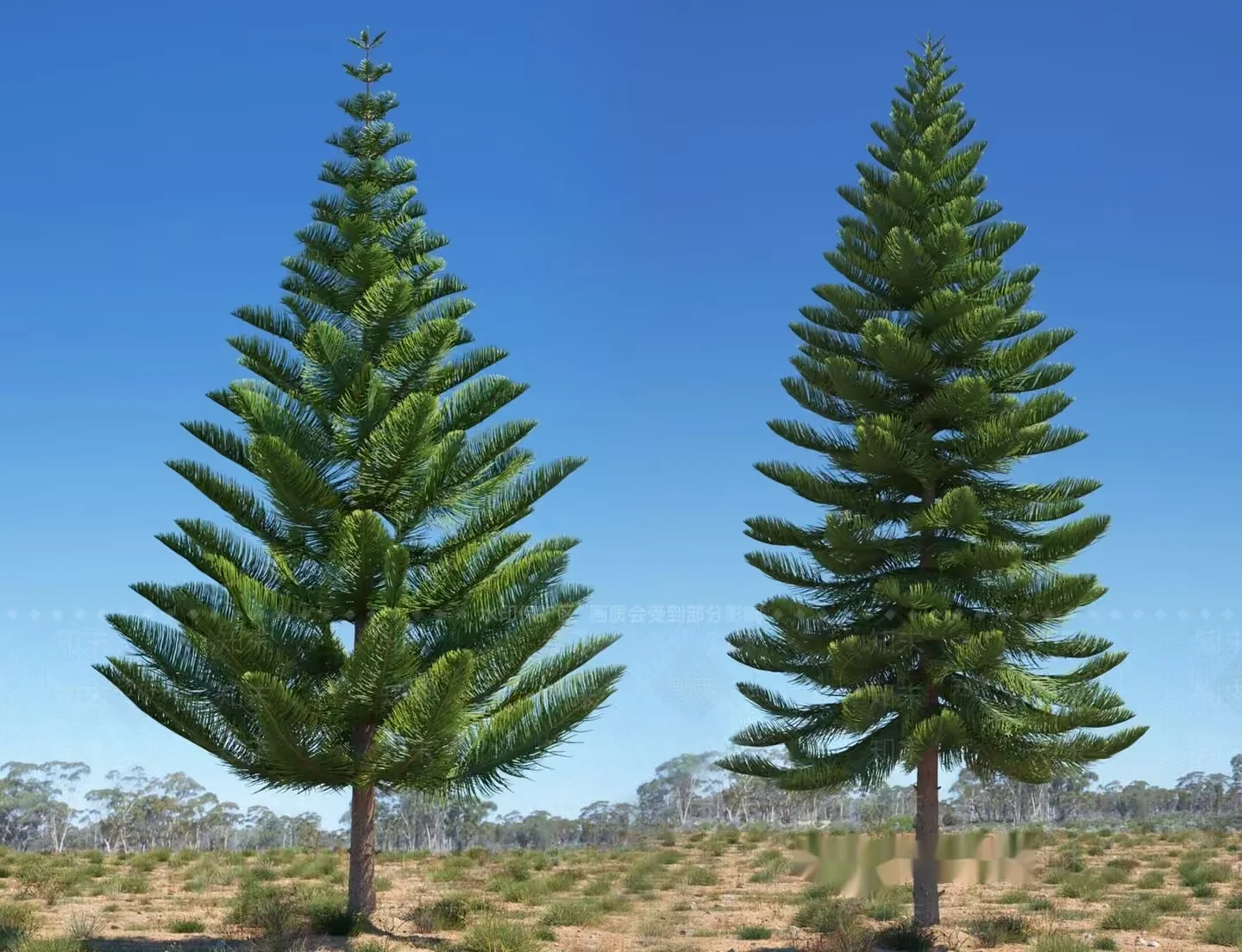 Two Trees 3D Model – 16107 – VRAY Render