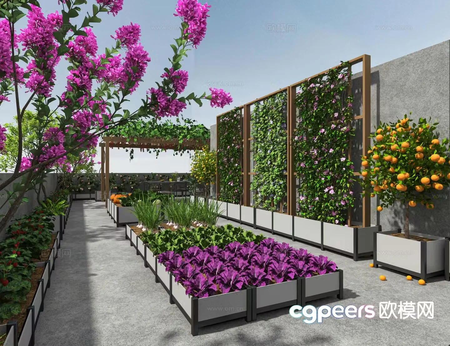 Villa garden vegetable garden 3d model
