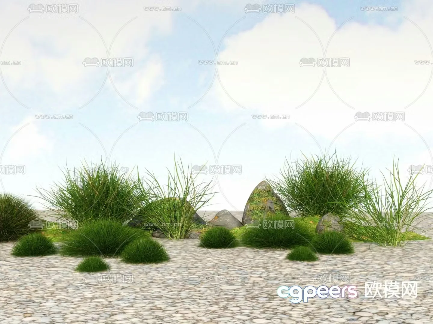 Flowers and plants Wild grass Weeds 3d model