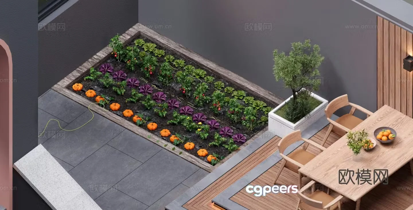 Modern villa courtyard landscape vegetable garden 3D model