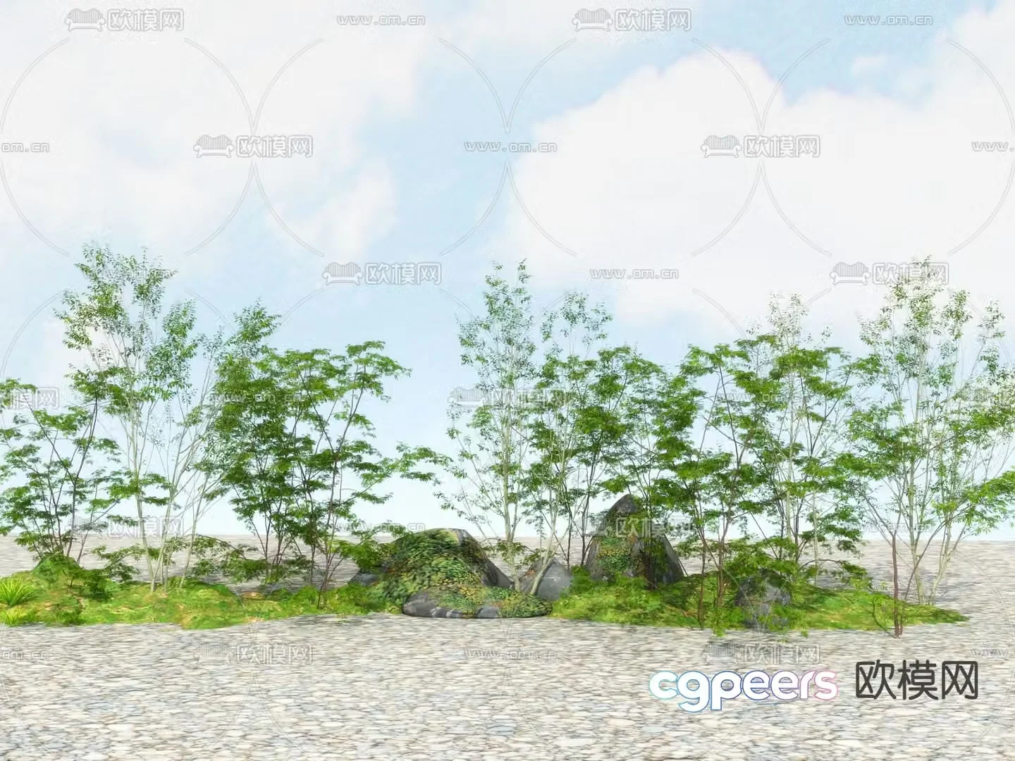 Landscape tree Street tree Big tree Fine leaf plant 3d model