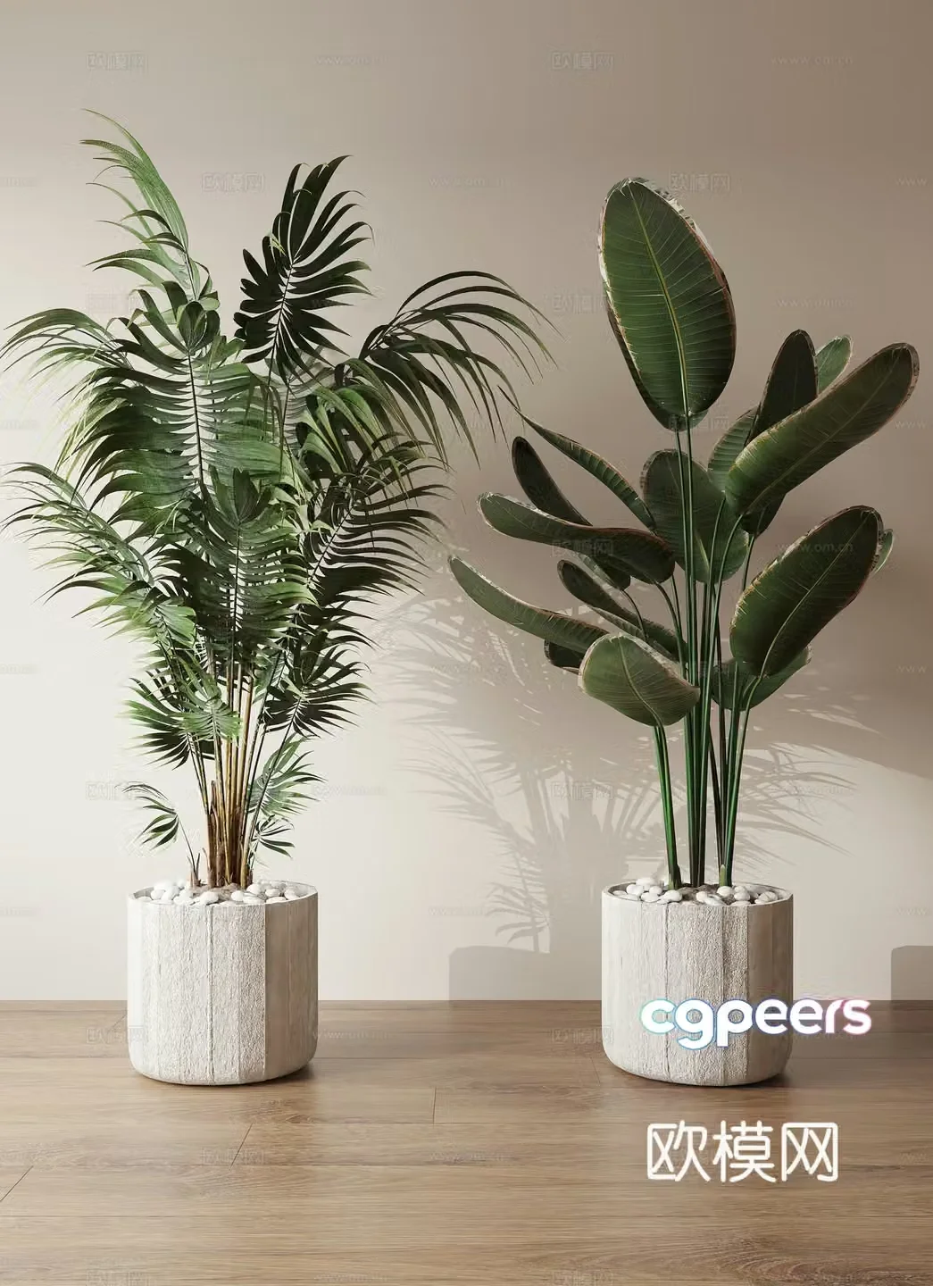 Potted plant 3d model