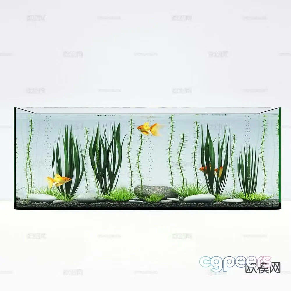 aquarium fish tank goldfish 3d model