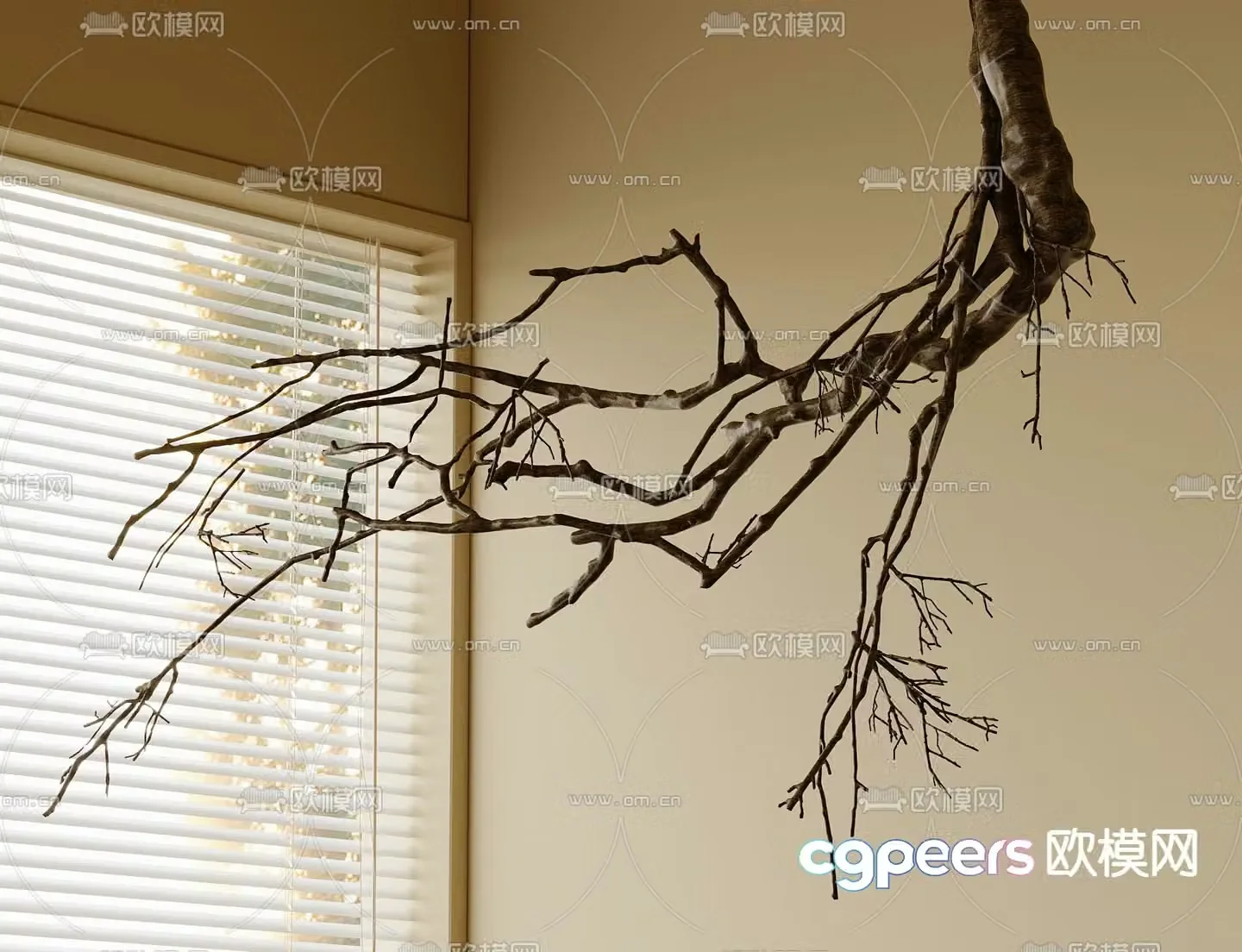 Wasabi Dry Branches Branches Dead Trees Dead Branches 3D Model