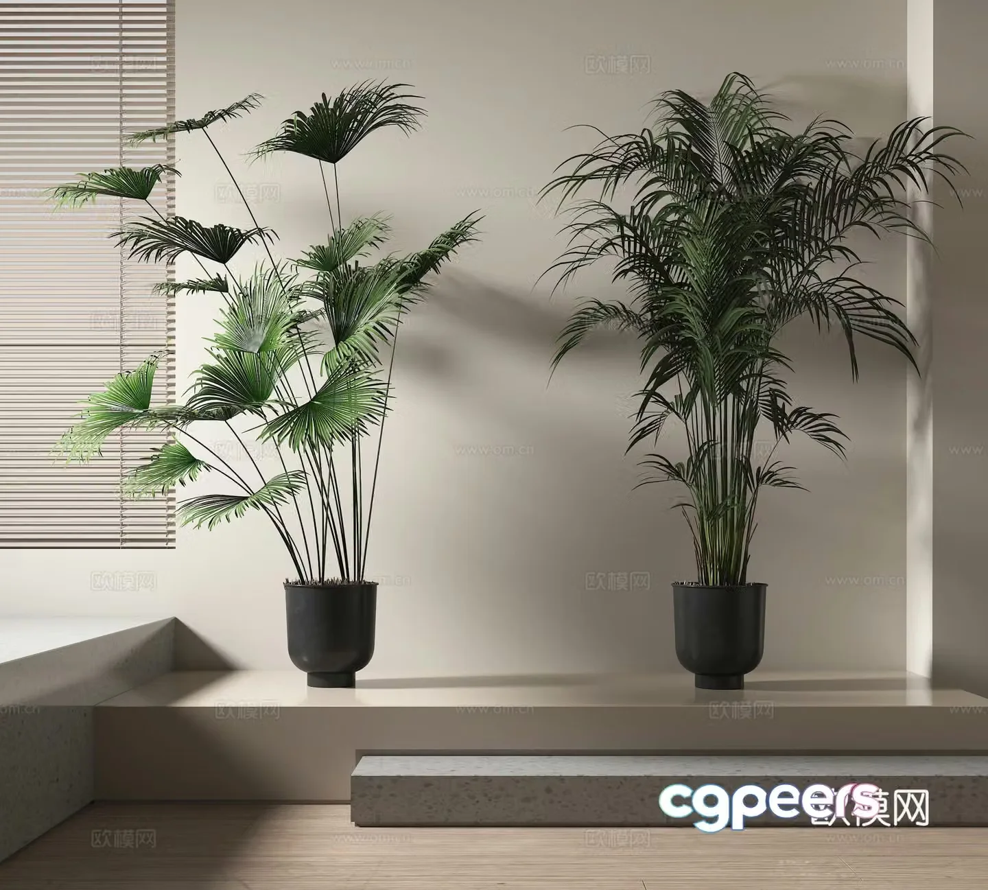 Potted plants Bonsai Green plants 3D model