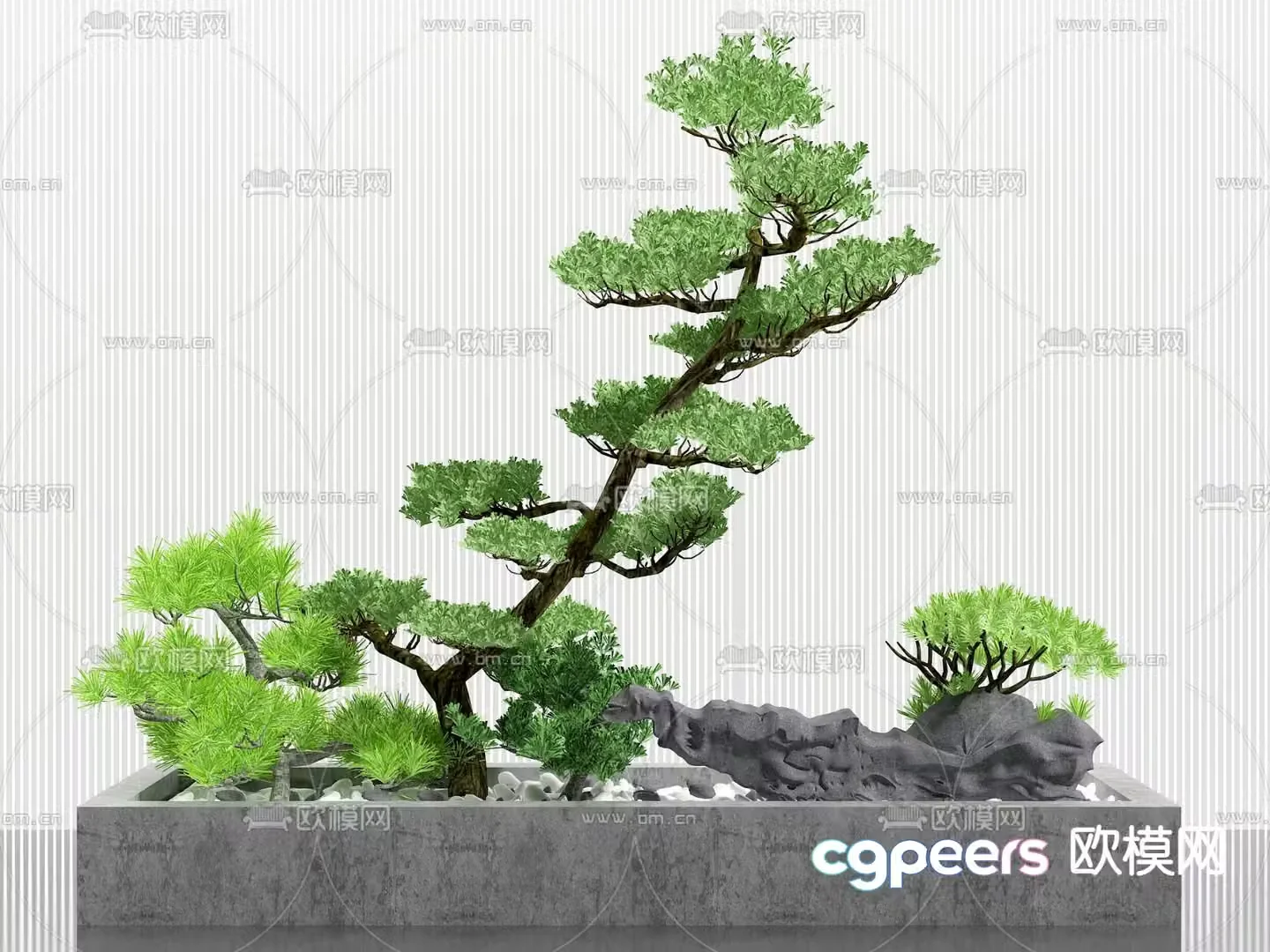 Landscape sketch pine tree landscaping 3D model