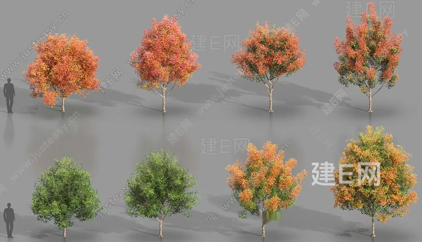 A Tree With Yellow Leaves 3D Model – 3142 – VRAY Render