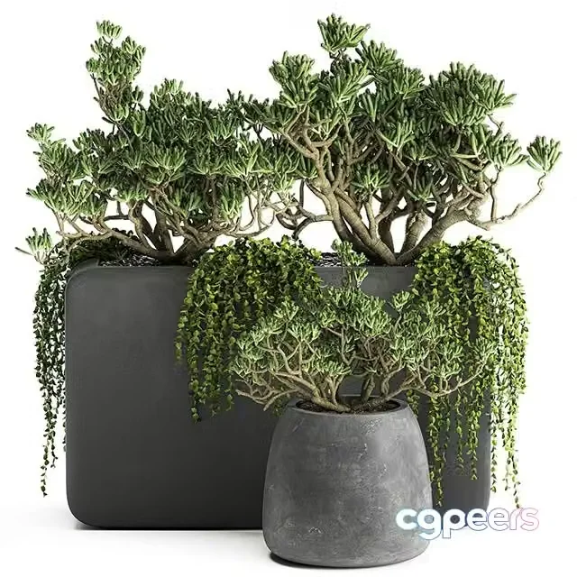 3ds Max Free – Plant collection 811