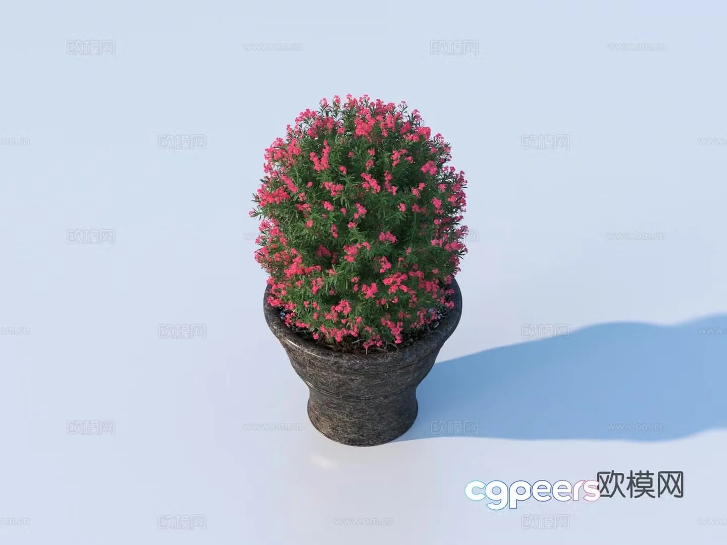 flower pot bonsai green plant plant 3d model