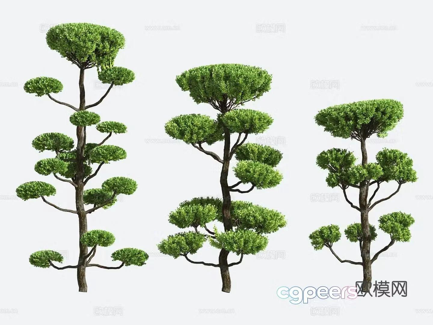 Shrub Modeling Tree Gardening 3d Model