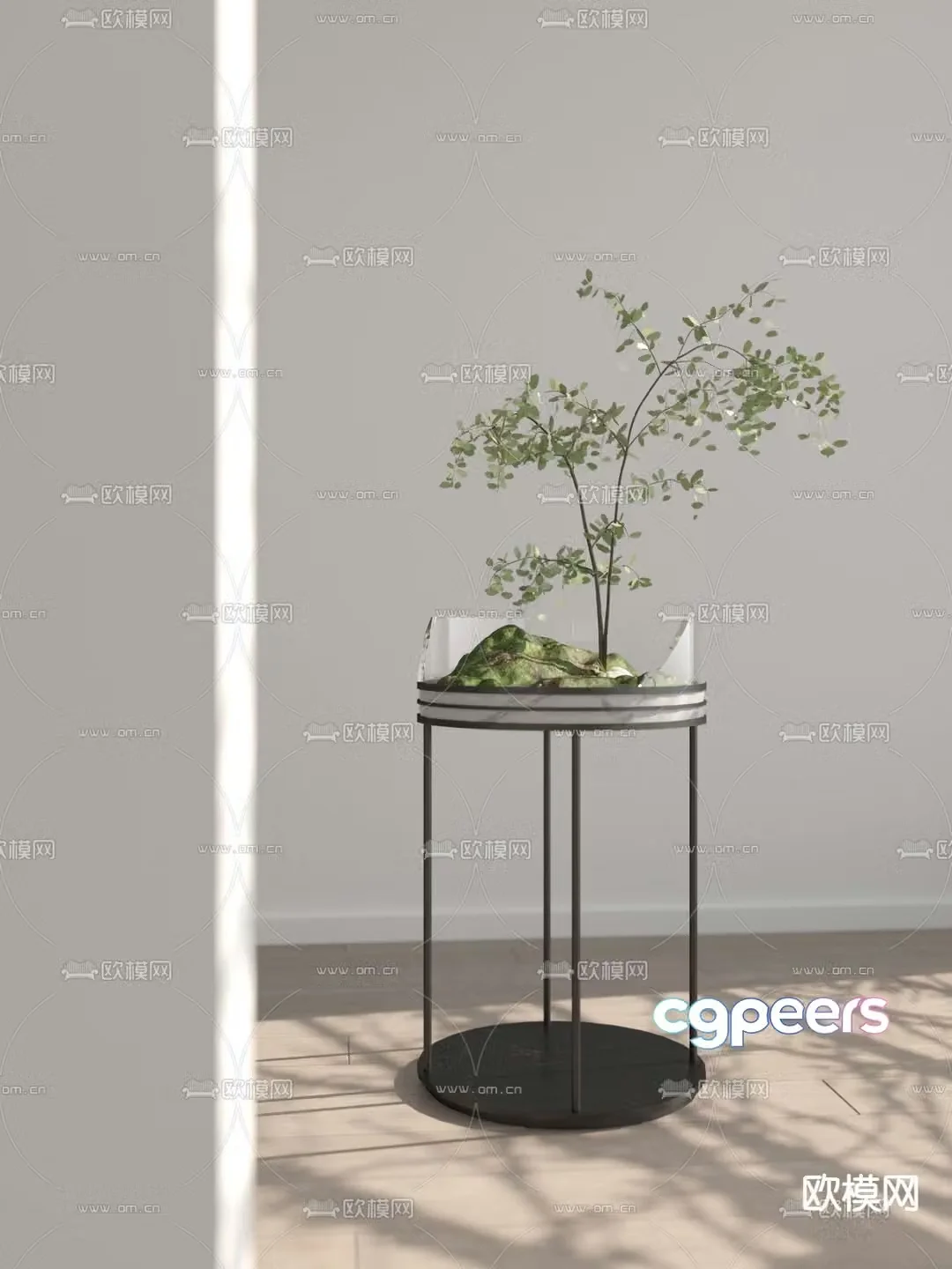 Microscopic green plant potted plant 3d model