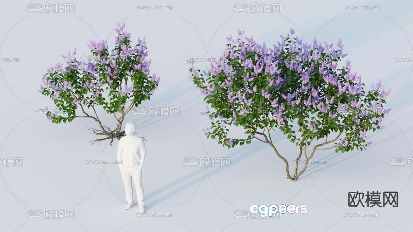 Landscape tree Flower tree Crabbit myrtle tree 3d model