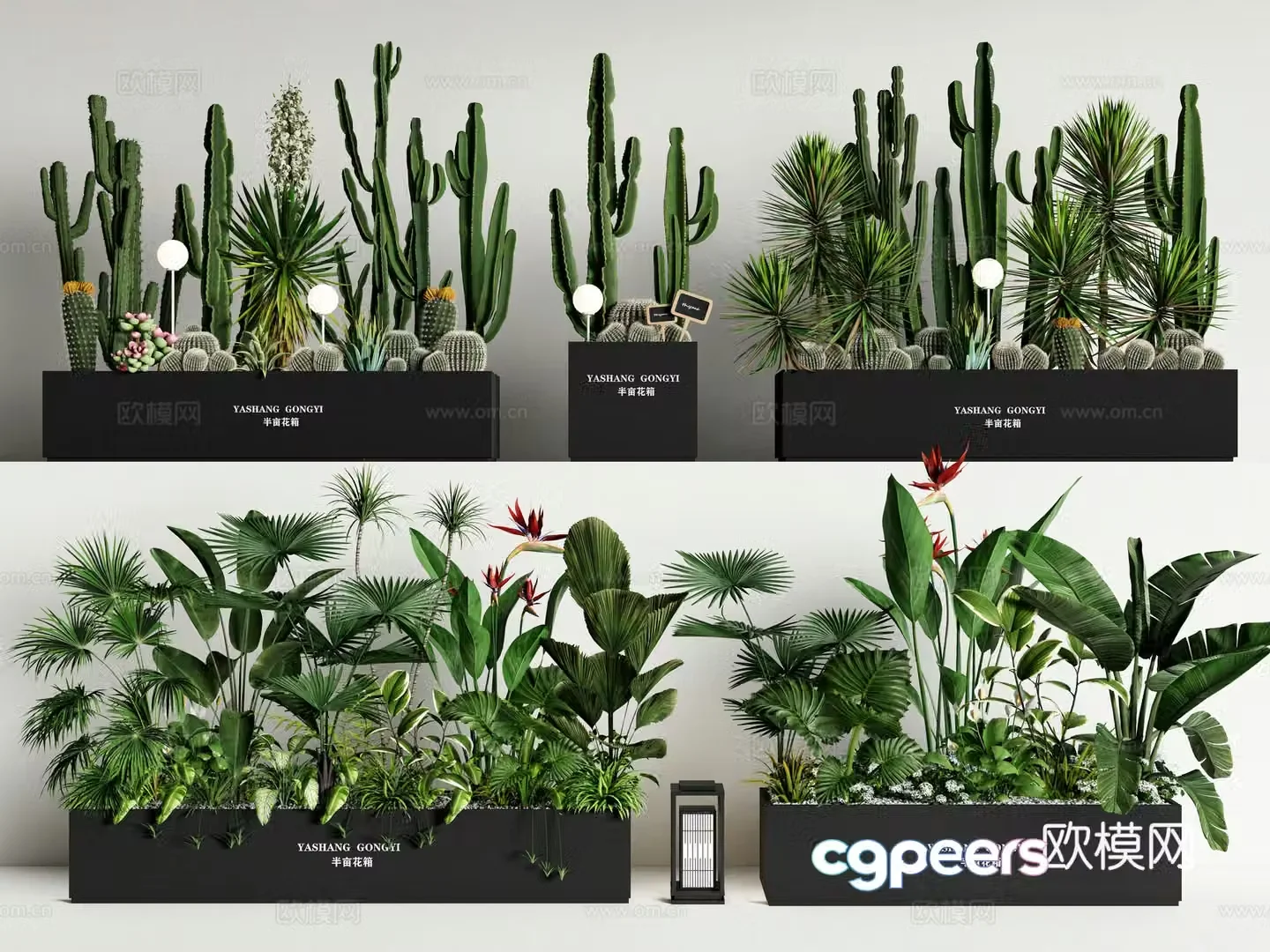 Plant combination green plant flower box outer green plant flower box flower bed flower bowl cactus 3d model