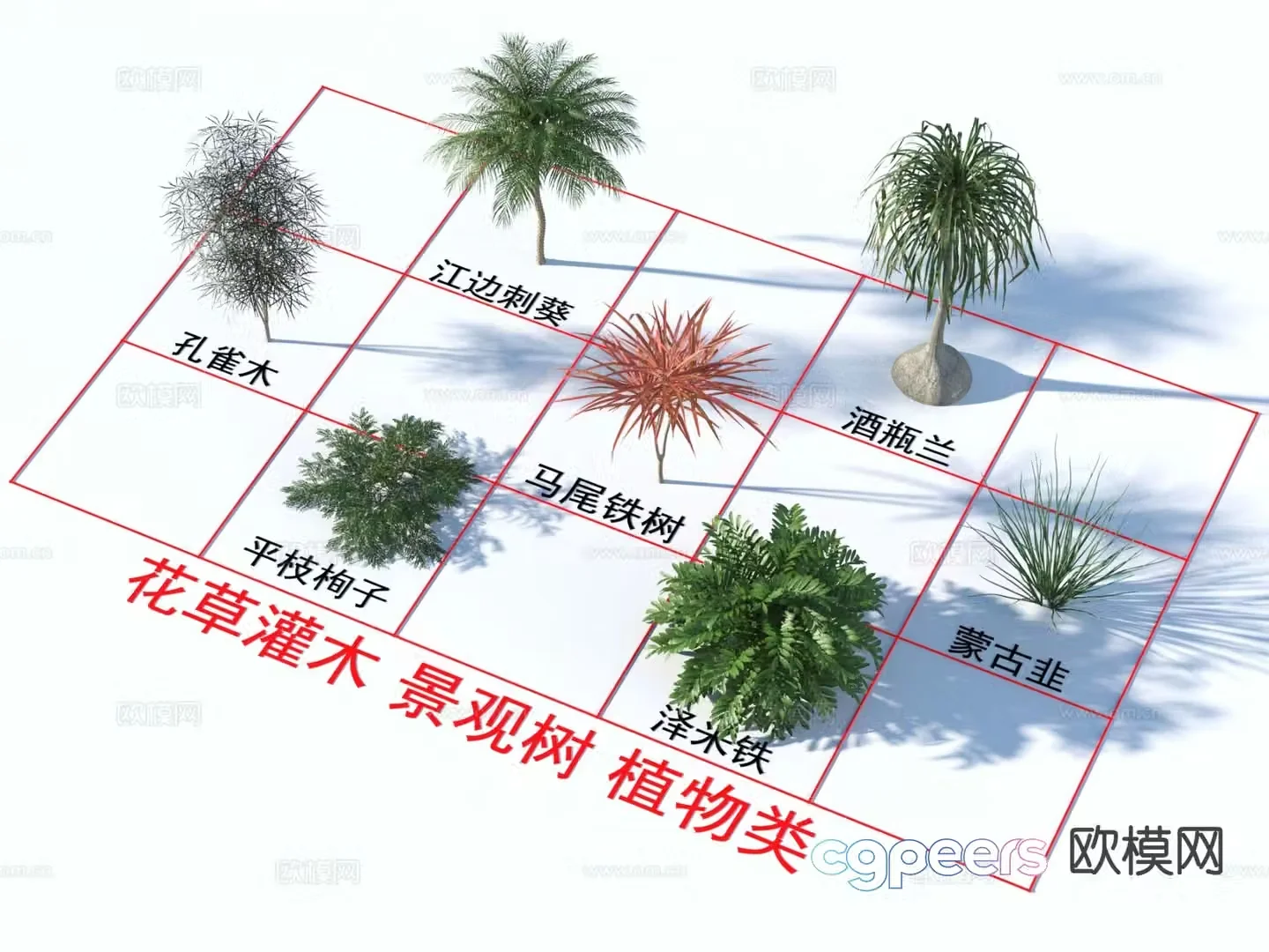 Flowers and plants riverside thorn sunflower wine bottle orchid peacock wood 3D model