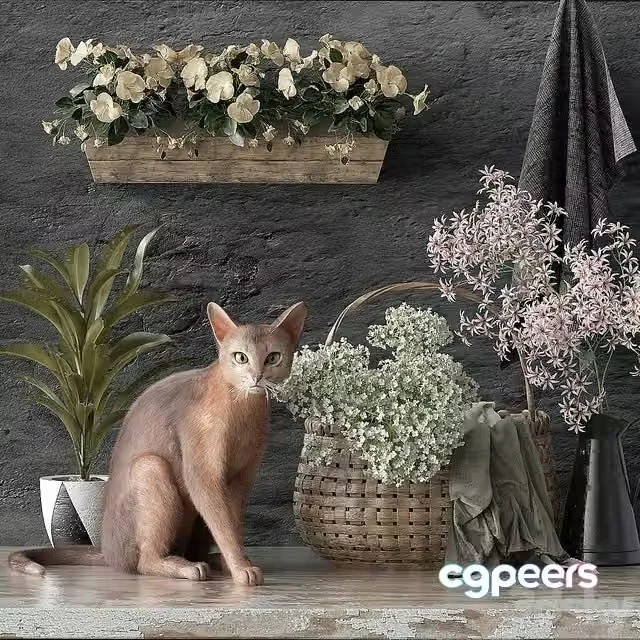 3ds Max Free – Decorative set 5 with cat