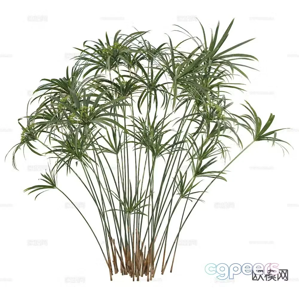 Modern bamboo landscape tree rich bamboo 3d model