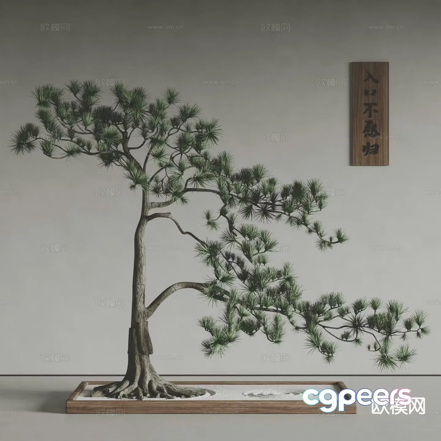 New Chinese style pine welcoming pine bonsai green plant 3D model