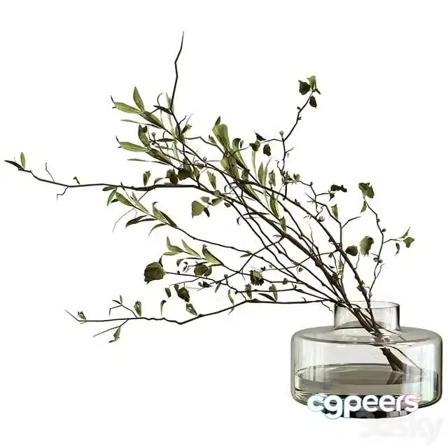 3ds Max Free – Bouquet of olive branches and wood