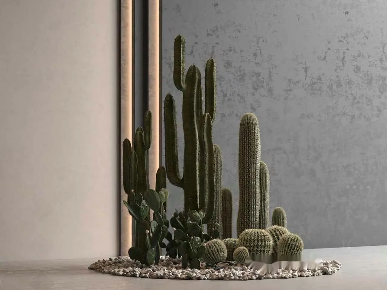 Cacti And Succulents 3D Model – 17885 – VRAY Render