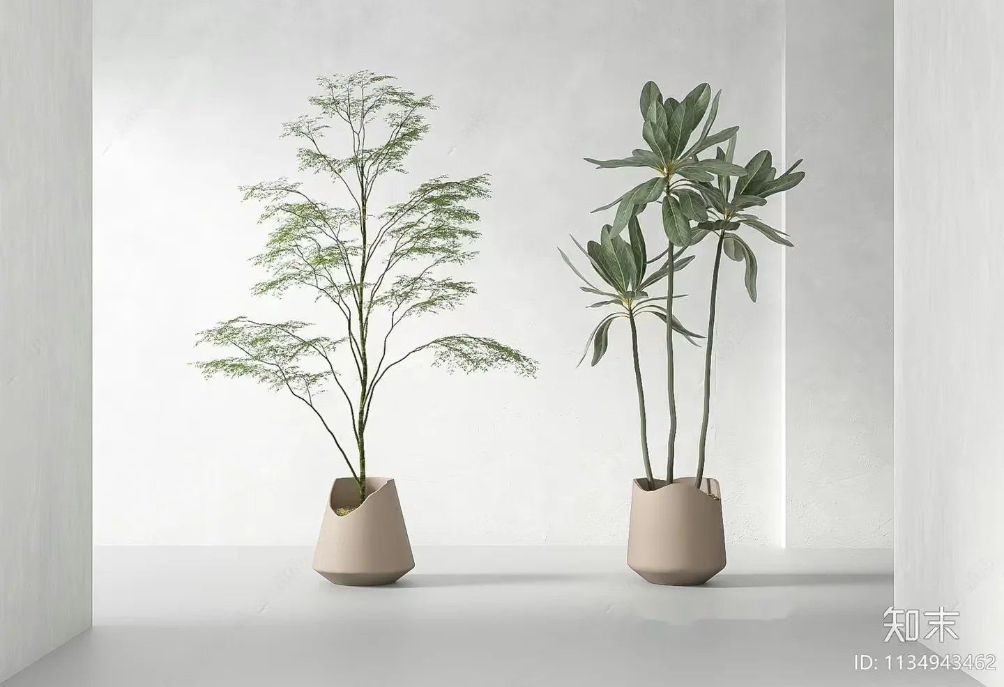 Two Potted Plants 3D Model – 1470 – VRAY Render