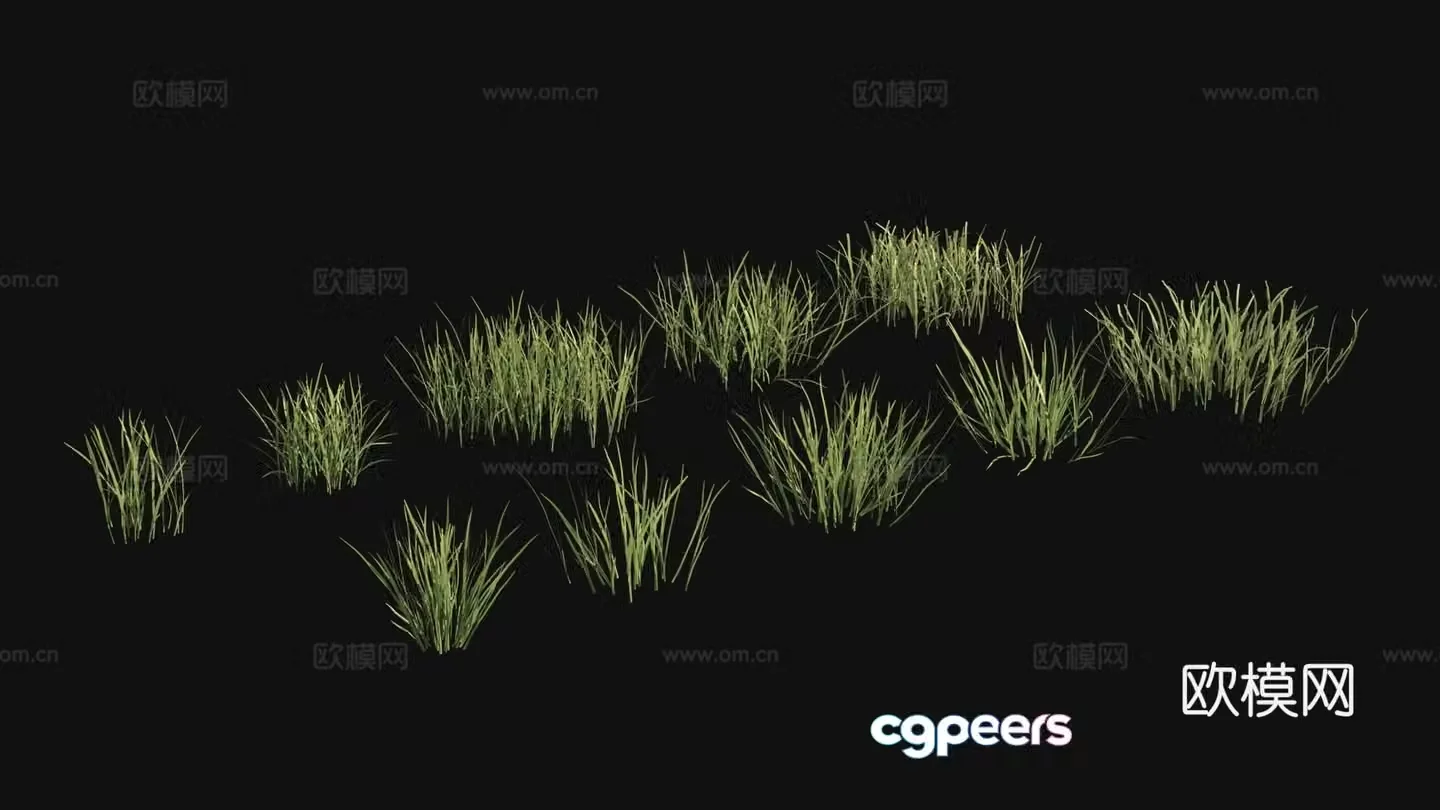 Outdoor flowers green plants plants 3d model