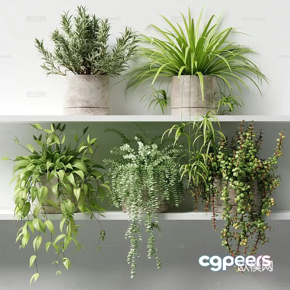 3D model of hanging basket