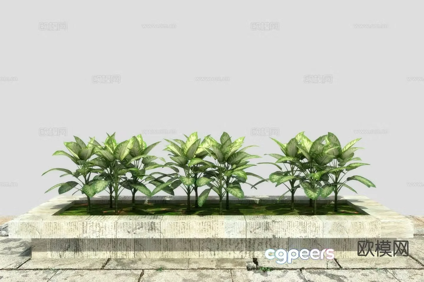 Zebra evergreen flower bed flower groove flower pond 3d model