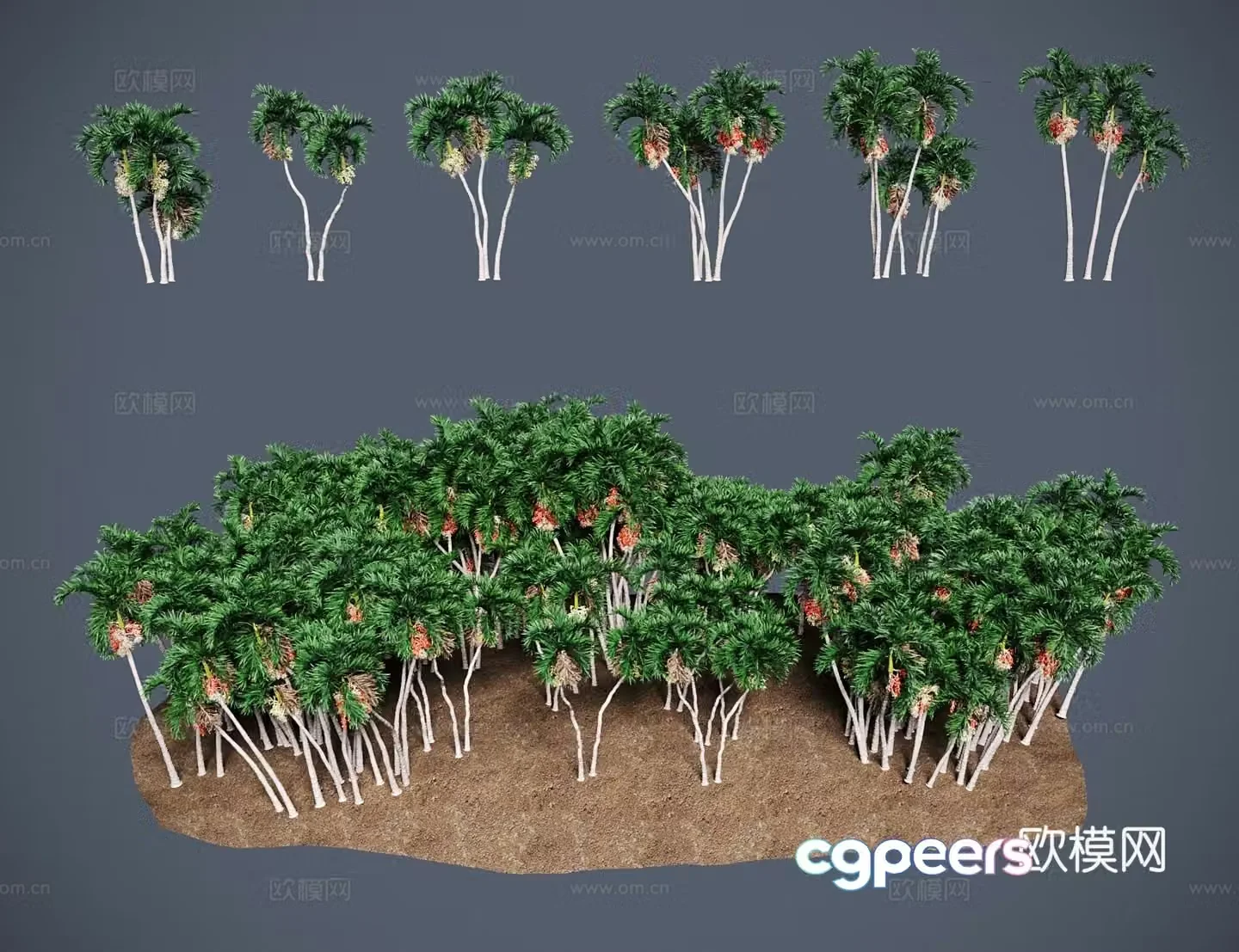 Modern landscape tree Christmas coconut oasis palm 3d model