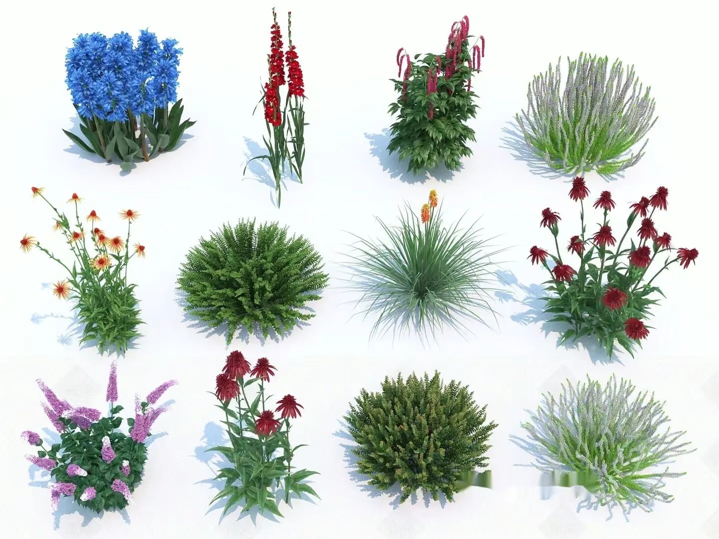 Nine Different Flowers 3D Model – 18335 – VRAY Render