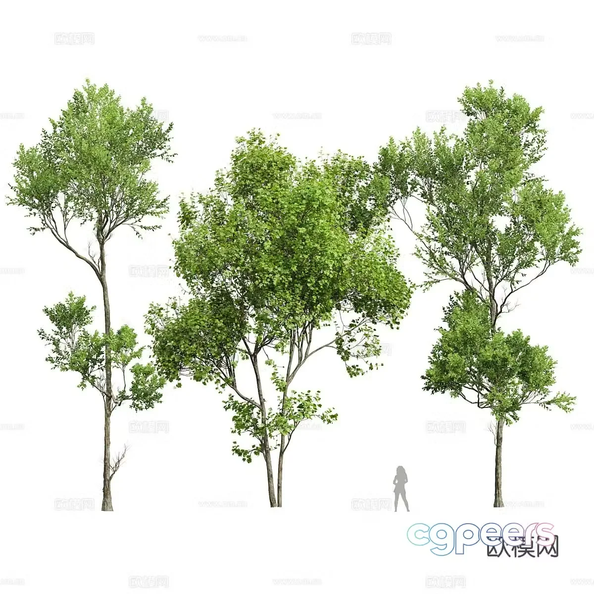 Spring tree 3d model