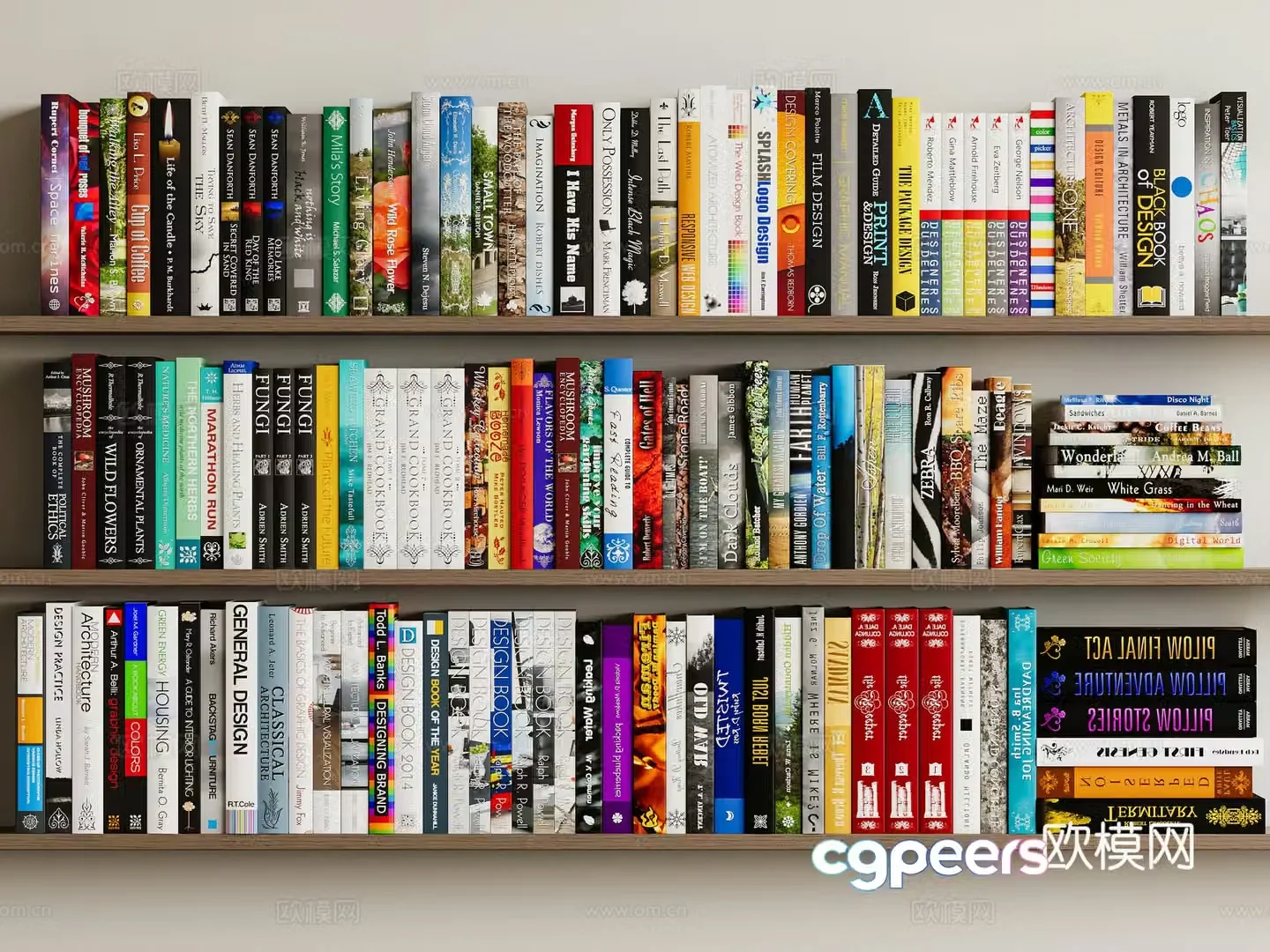 Books Books English Books 3D Model