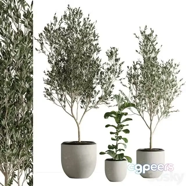3ds Max Free – Indoor plant set 43