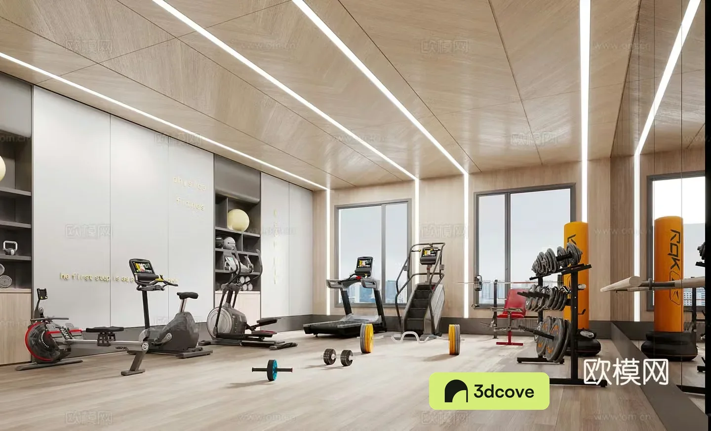 Modern small gym