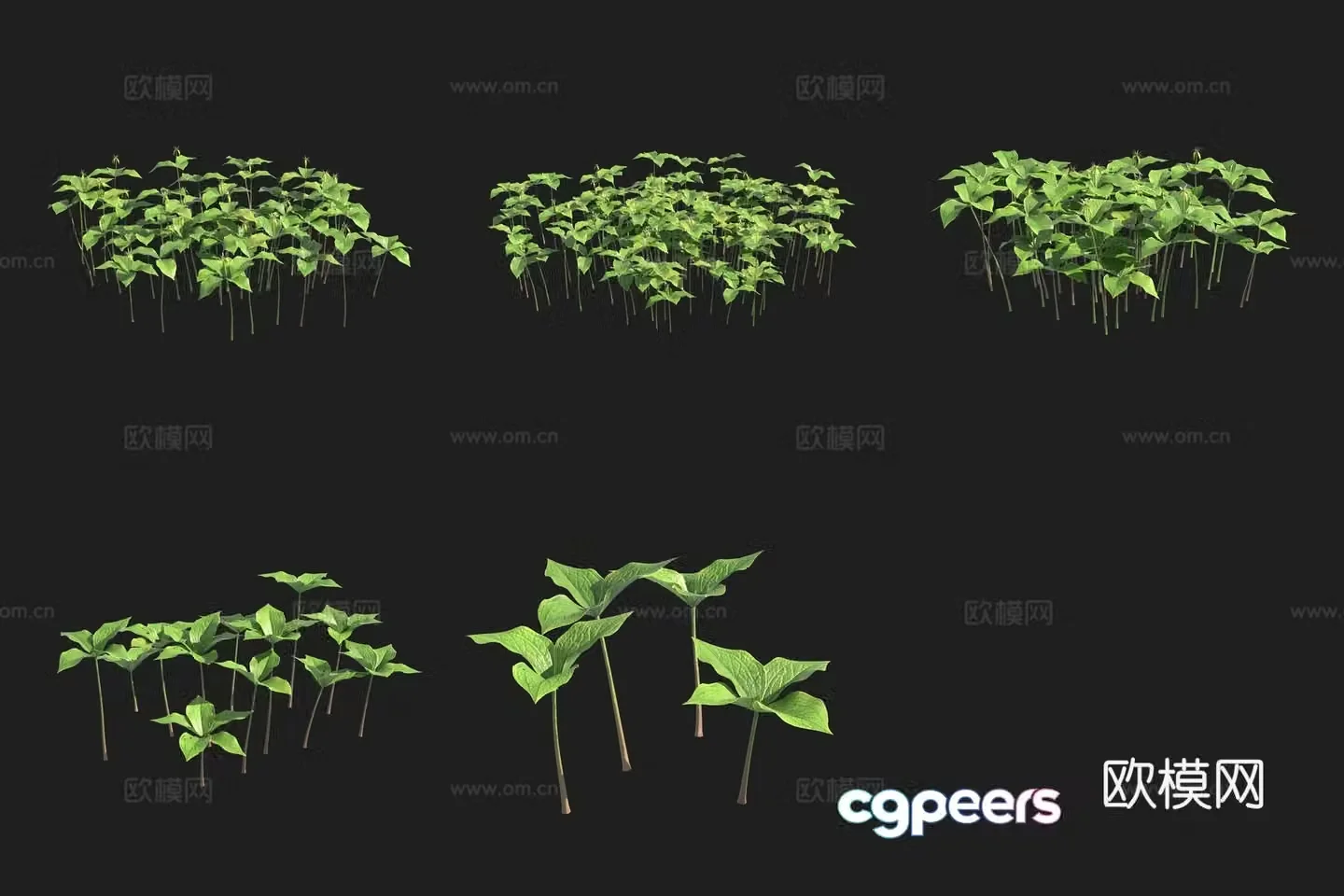 Four-leaf heavy-floor flower and grass Swedish plant 3D model