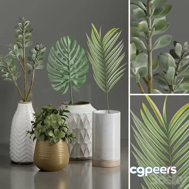 3ds Max Free – PLANT 1
