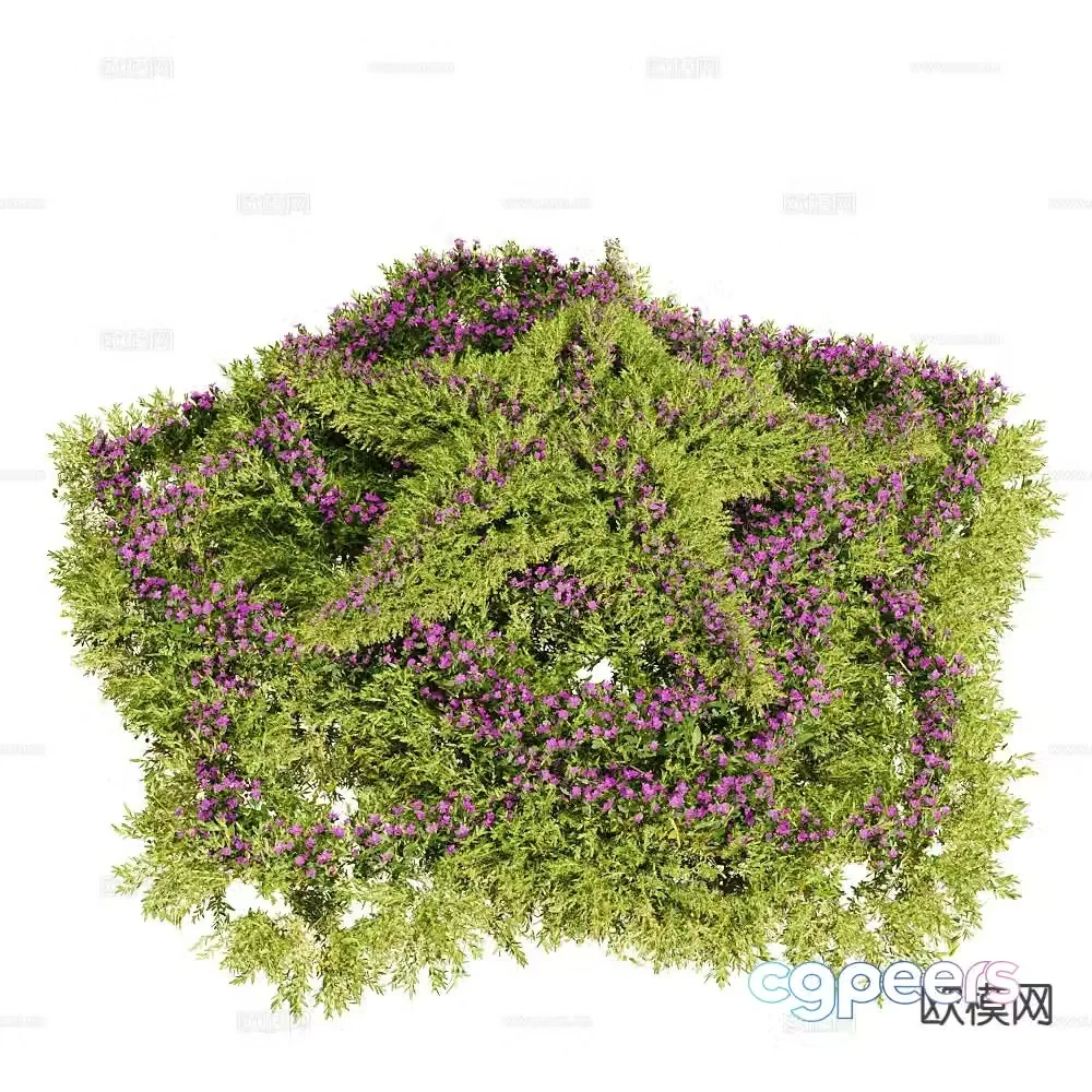 Plant shrubs shrub ball 3d model