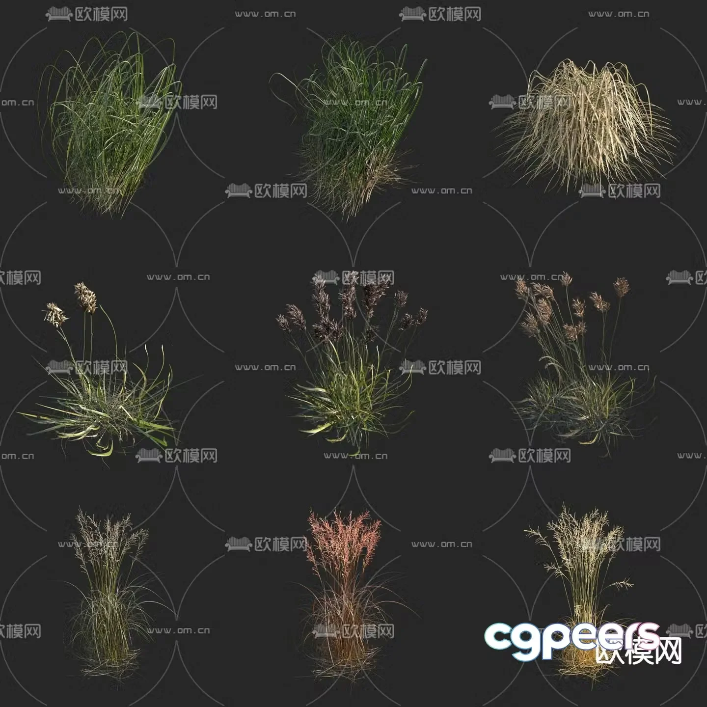 Flower and leaves holly golden edge auspicious fragrance sleeping fragrance dew armor romantic tree Penglai flower flower and grass 3d model