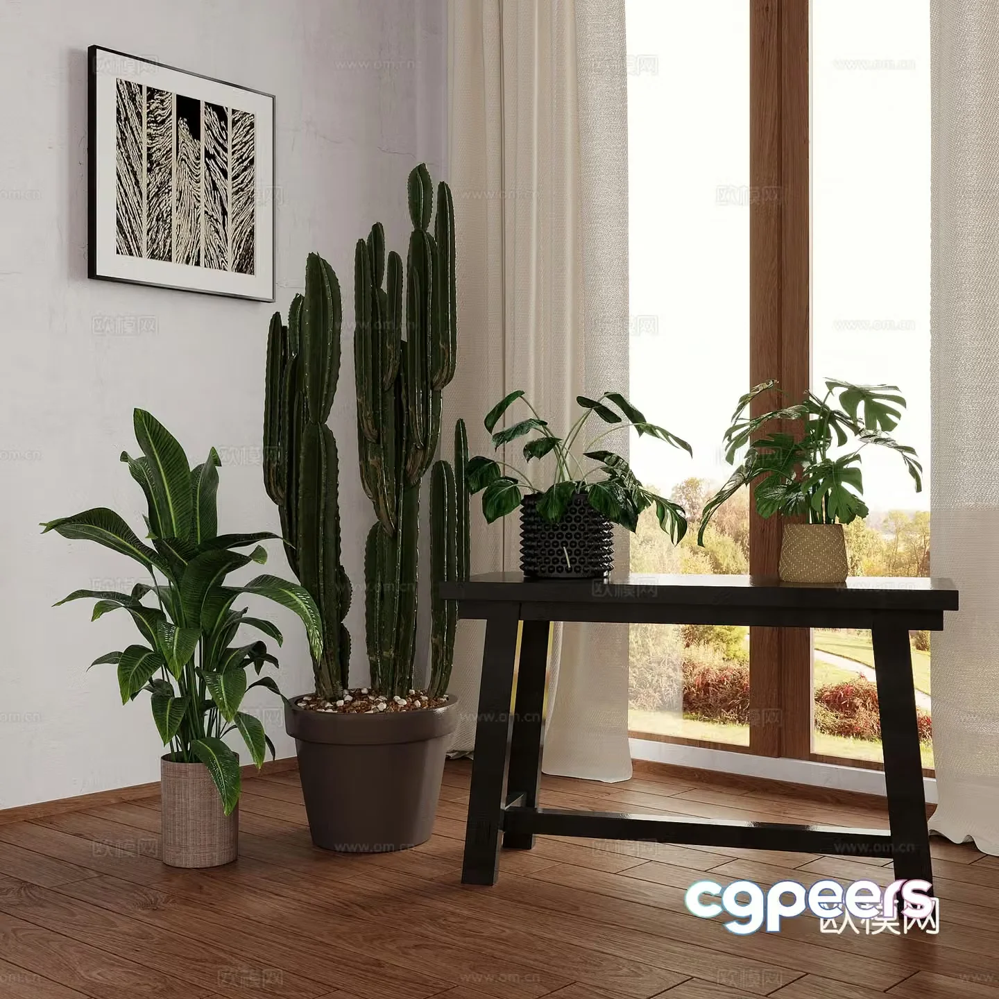 green plant monstera potted plant bonsai cactus 3d model