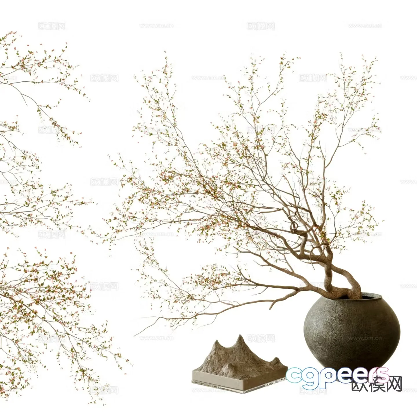 vase floral arrangement dried flowers flower arrangement 3d model
