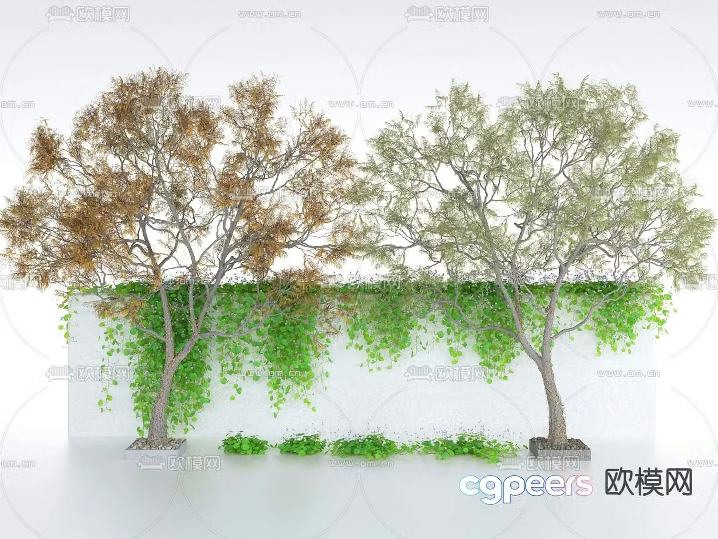 vine climbing ivy landscape tree wall 3d model