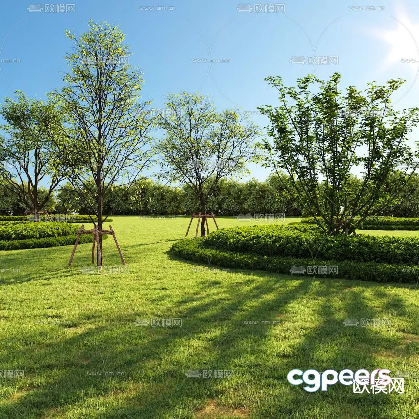 Garden landscape hedge shrub lawn 3d model