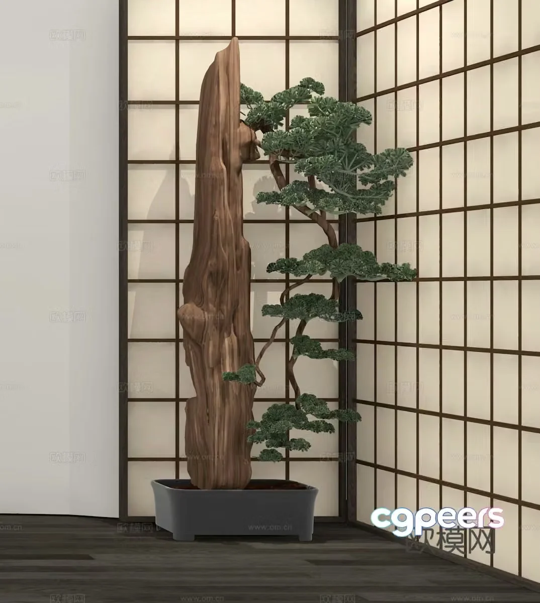 Rockery stone pine green plant bonsai 3d model