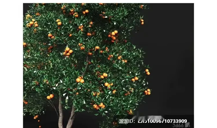 A Tree With Orange Fruit 3D Model – 8566 – VRAY Render