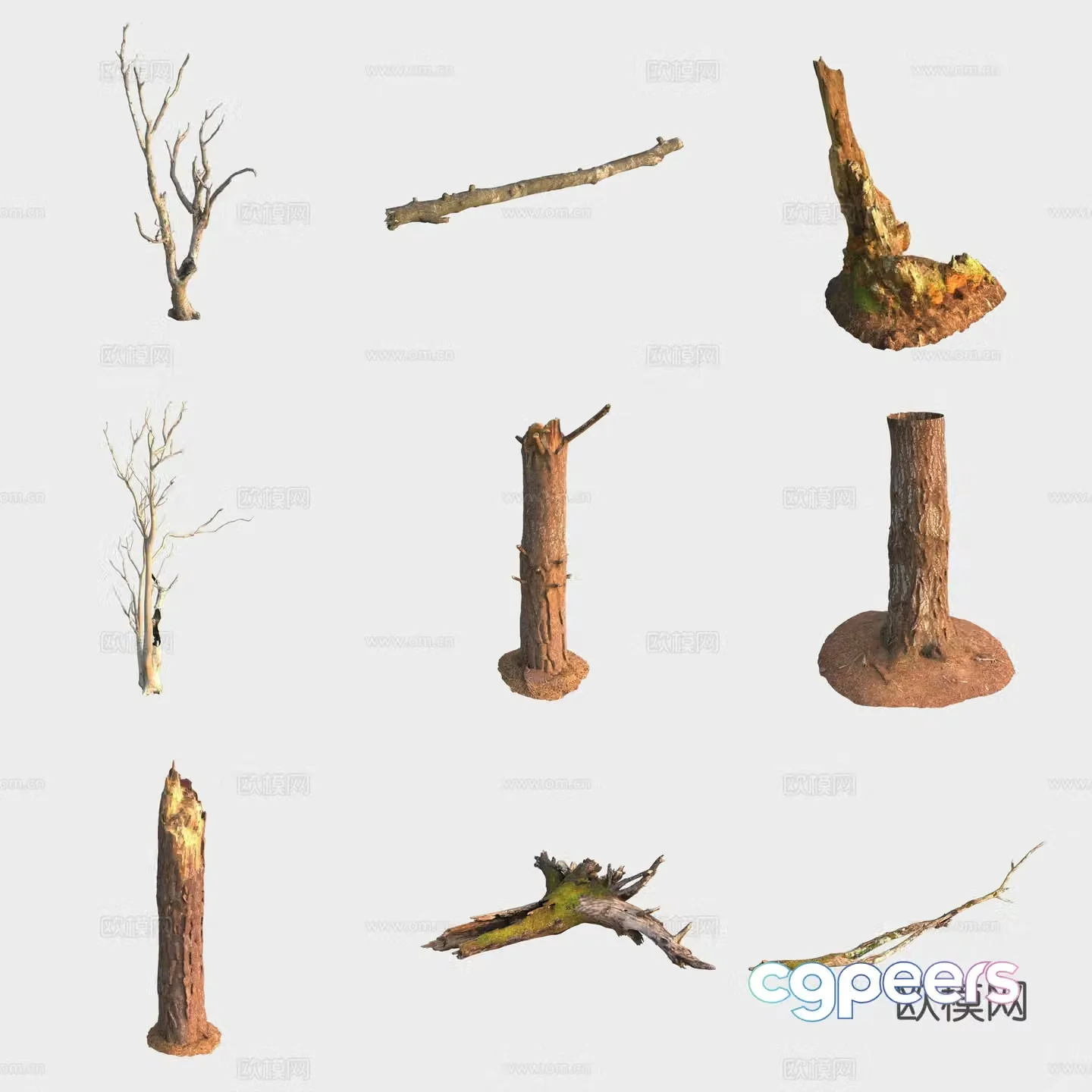 3d model of trunk branches stump