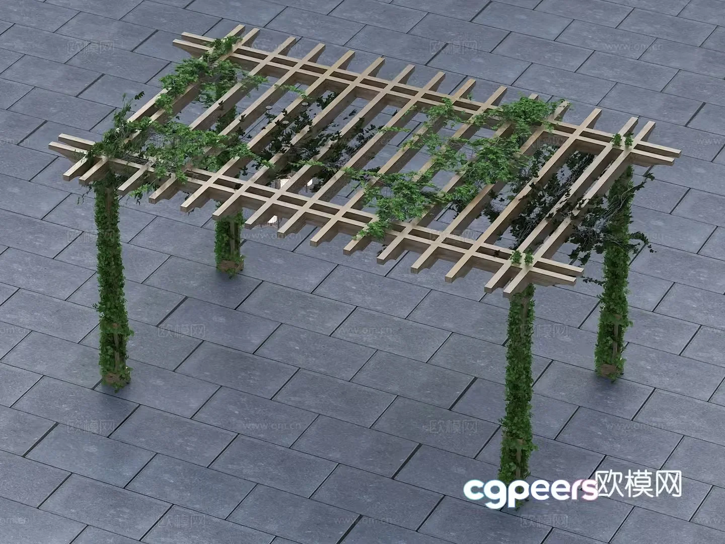 Modern wooden shelf grape rack 3d model