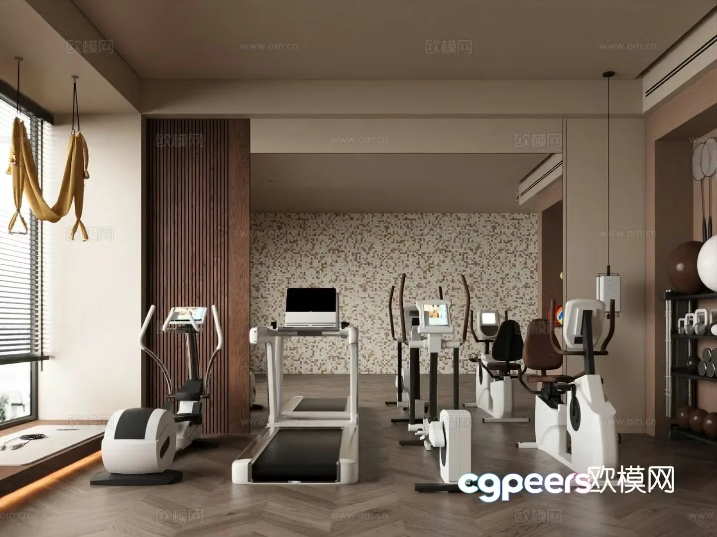 Modern home gym 3d model