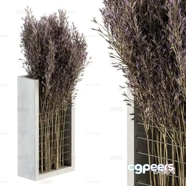 New Chinese style dry branch bonsai 3D model