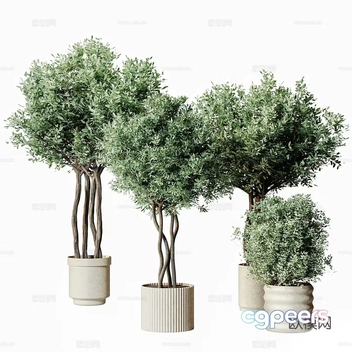 New Chinese green plant potted 3D model